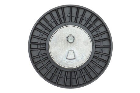 Роликовий модуль натягувача ременя (ролик, ремінь) ina 529057010