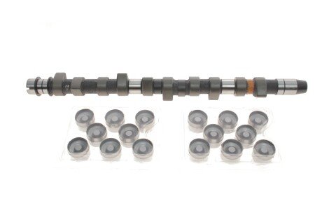 Розподільчий вал (к-т) ina 428002730