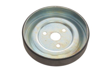 Шків водяної помпи ina 532091210