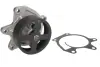 Водяной насос NISSAN 21010-1KCOA JUKE (F15), 06/10 - 1.6 DIG-T (Пр-во INA) ina 538 0522 10