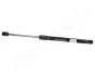 JAPANPARTS FIAT газовый амортизатор STILO MULTIWAGON 03- japan parts ZS02045
