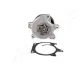 JAPANPARTS NISSAN Помпа воды Juke, Qashqai, X-Trail 1,6-2.0 10- Japan Parts PQ100 (фото 1)