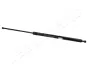 JAPANPARTS RENAULT Амортизатор багажника Kangoo 97- japan parts ZS07005