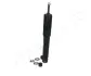Передний амортизатор (стойка) japan parts MM15501