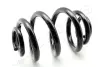 Усиленная пружина japan parts ZC6801J