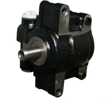 FORD насос гідропідсилювача Fiesta,Focus 95- jp group 1545100500