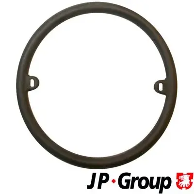 Прокладка, масляный радиатор JP group 1113550300