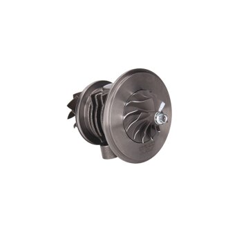 Картридж турбины (отбалансированный) GARRETT GT25C VW LT 28-35 II автобус (2DB, 2DE, 2DK) 99-02,LT 2 jrone 1000010204