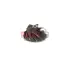 Компрессорное колесо RHF4 X-Trail,Navara 2.2LD JRONE 1200-016-375 (фото 1)