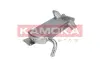 Радiатор рециркуляцiї Kamoka 19C069 (фото 4)