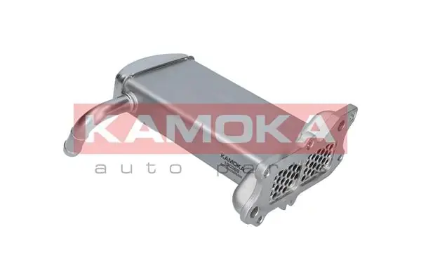 Радiатор рециркуляцiї Kamoka 19C069 (фото 1)