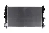Радіатор охолодження двигуна Kamoka 7700143 (фото 1)