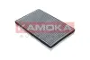 Фiльтр салону вугiльний kamoka F503101