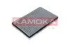 Фiльтр салону вугiльний kamoka F503101