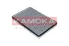 Фiльтр салону вугiльний kamoka F503101
