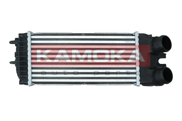 Радіатор інтеркулера Kamoka 7750049 (фото 1)
