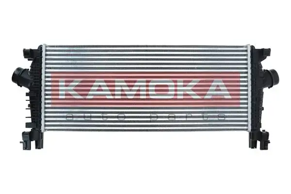 Радіатор інтеркулера Kamoka 7750053 (фото 1)
