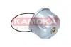 Масляний фільтр Kamoka F115001 (фото 2)