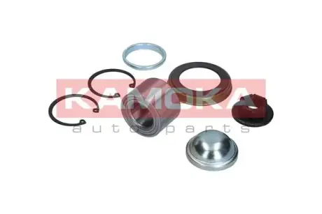 Пiдшипник ступицi Kamoka 5600012