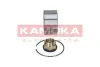 Пiдшипник ступицi kamoka 5600017