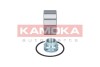 Пiдшипник ступицi kamoka 5600019