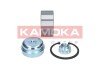 Пiдшипник ступицi kamoka 5600025