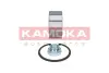 Пiдшипник ступицi kamoka 5600041