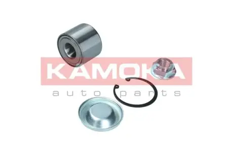 Пiдшипник ступицi Kamoka 5600117