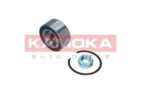Пiдшипник ступицi Kamoka 5600119