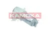 Помпа паливна kamoka 8410001