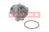 Водяная помпа (насос) kamoka T0234