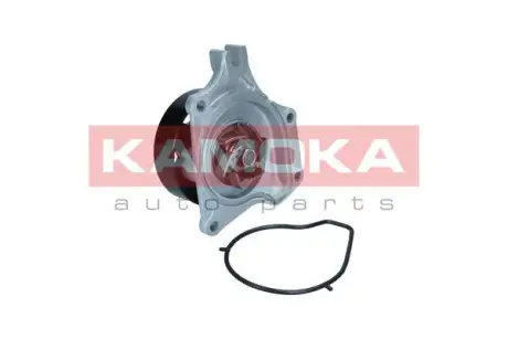 Помпа води kamoka T0307