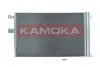 Радiатор кондицiонера BMW X3 17-/X4 18-/X5 18-/X6 19-/X7 19- kamoka 7800245