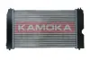 Радіатор охолодження двигуна Kamoka 7705159 (фото 2)