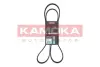 Ремiнь клиновий 5PK1546 kamoka 7015069