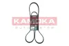 Ремiнь клиновий 6PK1548 kamoka 7016123