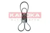 Ремiнь клиновий 6PK1863 kamoka 7016175