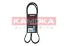 Ремiнь клиновий 7PK1325 kamoka 7017012