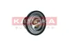 Термостат kamoka 7710065