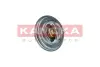Термостат Kamoka 7710085 (фото 2)