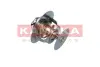 Термостат Kamoka 7710125 (фото 4)