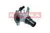 Термостат kamoka 7710182