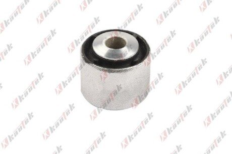 DB С/блок важеля підвіски S-CLASS (W221) S 280 06-13 kautek MEBS217