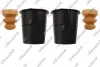 MINI пилозахисний комплект MINI (R50, R53) Cooper S KAUTEK MN-BK001