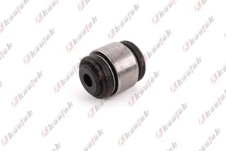-TEKNOROT BMW С/блок задней подвески X3 E83 04- KAUTEK BM-BS079