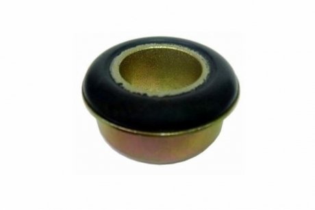 -TEKNOROT IVECO С/блок балки моста DAILY IV 07-11, DAILY IV Фургон 50C17 V, 50C17 V/P 07-11 kautek IVBS021