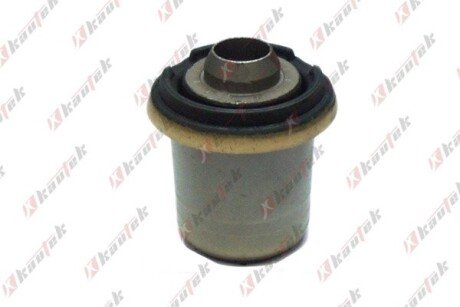 -TEKNOROT RENAULT С/блок задней балки Megane III,Scenic III,Fluence 08- kautek REBS079 на Рено Флюенс