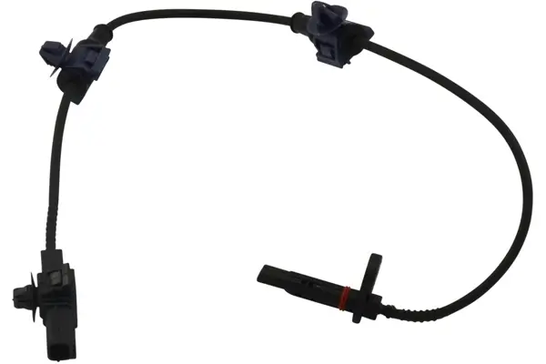 KAVO PARTS HONDA Датчик ABS задн. лівий CR-V IV (RM_) 1.6/2.0 12- kavo parts BAS2114