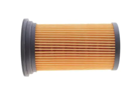Фільтр паливний Kavo parts FFF10053