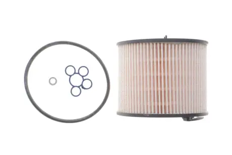 Фільтр паливний Kavo parts FFF10188